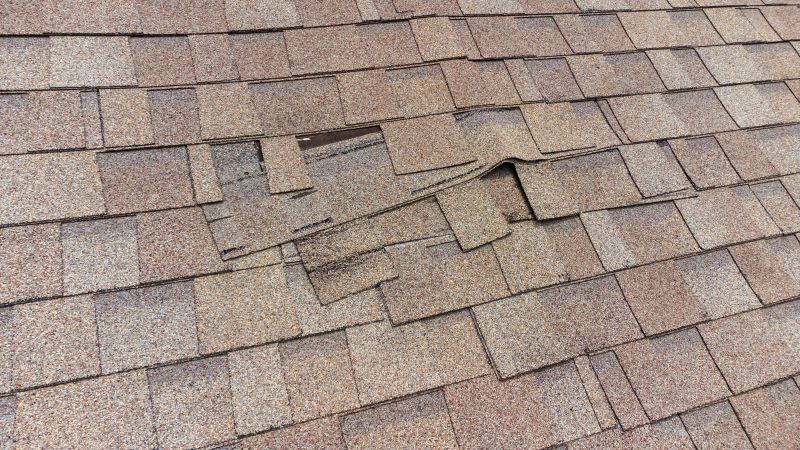 Damaged Asphalt Shingles
